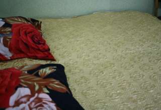 Гостиница Селенга Селенгинск Номер стандарт с 1 двуспальной кроватью-3